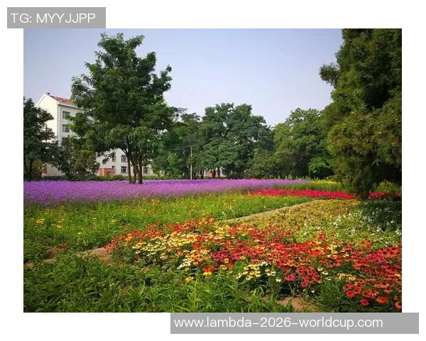 热血足球阿力的奋斗之路与梦想追逐的青春故事